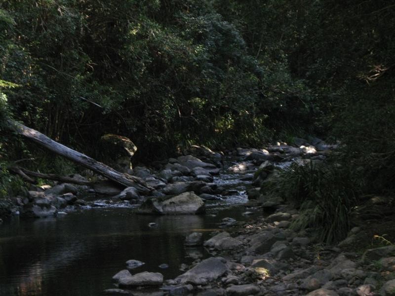 729 Kippax Road, Kippaxs NSW 2429