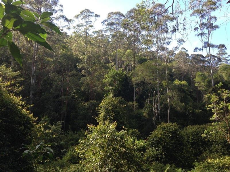 729 Kippax Road, Kippaxs NSW 2429