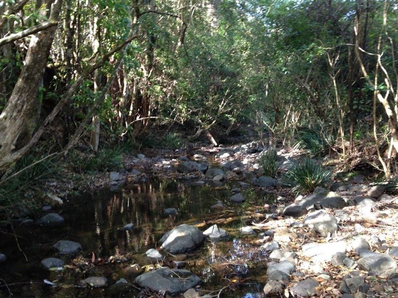 729 Kippax Road, Kippaxs NSW 2429