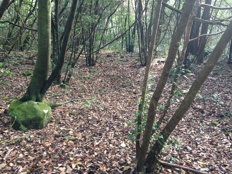 729 Kippax Road, Kippaxs NSW 2429