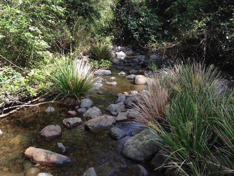 729 Kippax Road, Kippaxs NSW 2429