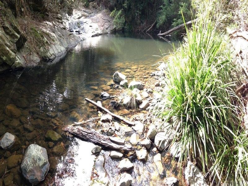 729 Kippax Road, Kippaxs NSW 2429