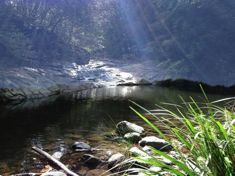 729 Kippax Road, Kippaxs NSW 2429