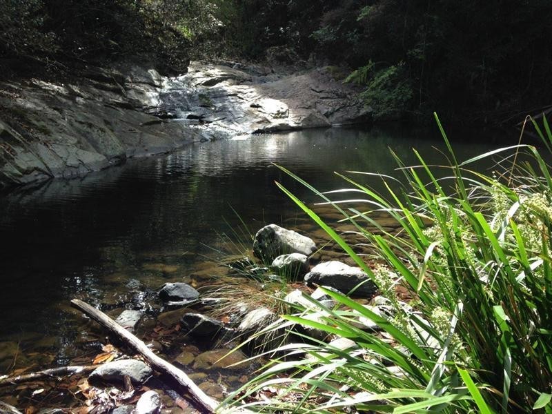 729 Kippax Road, Kippaxs NSW 2429