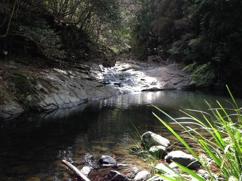 729 Kippax Road, Kippaxs NSW 2429