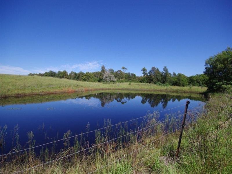 195 Gloucester Road, Burrell Creek NSW 2429