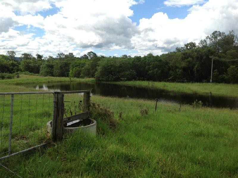 195 Gloucester Road, Burrell Creek NSW 2429