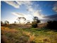 Taree NSW 2430