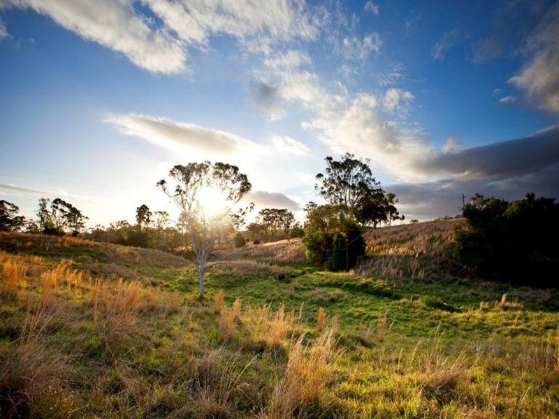 Taree NSW 2430