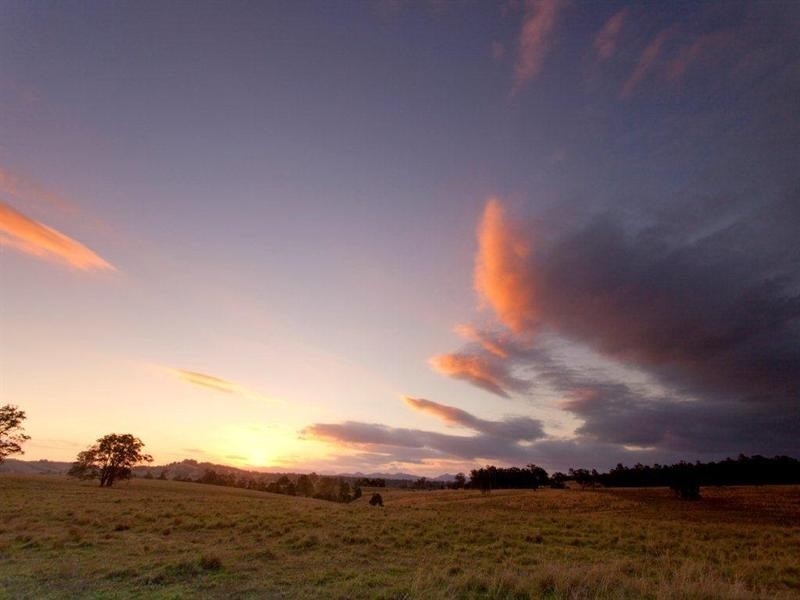 Taree NSW 2430