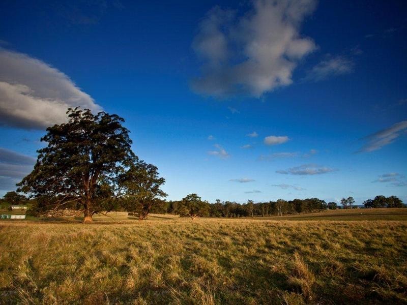 Taree NSW 2430
