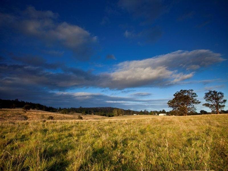 Taree NSW 2430