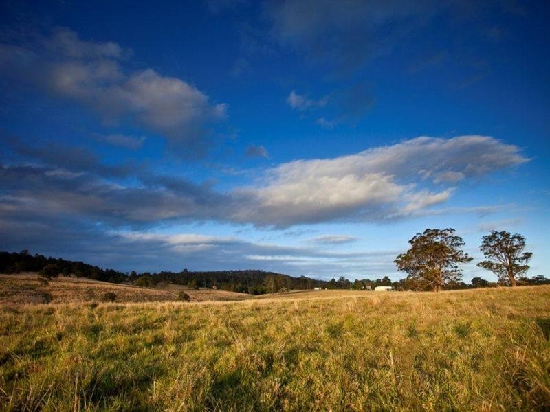 Taree NSW 2430