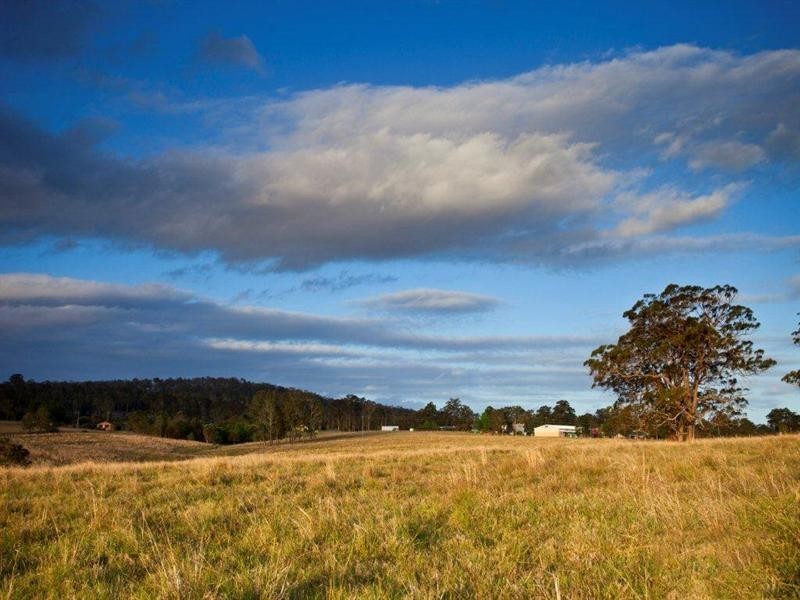 Taree NSW 2430