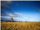 Taree NSW 2430