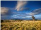 Taree NSW 2430