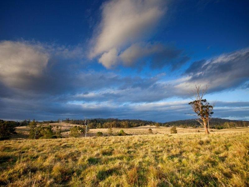 Taree NSW 2430