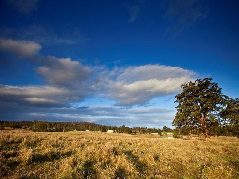 Taree NSW 2430