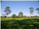 Cundletown NSW 2430