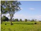 Cundletown NSW 2430