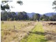 Lansdowne NSW 2430