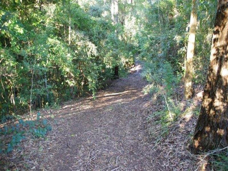 190 Karaak Flat Road, Wingham NSW 2429