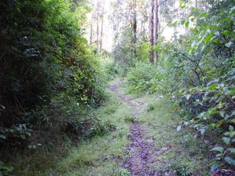 190 Karaak Flat Road, Wingham NSW 2429