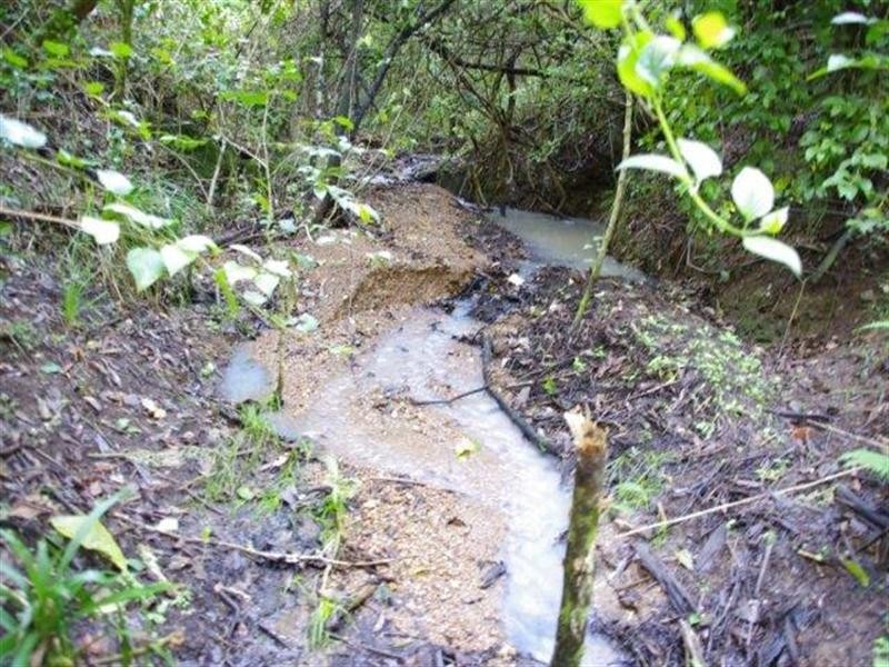 190 Karaak Flat Road, Wingham NSW 2429