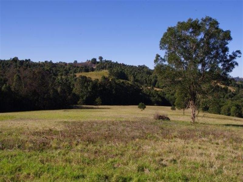 190 Karaak Flat Road, Wingham NSW 2429