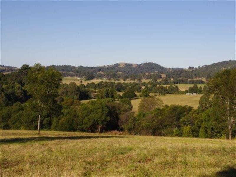 190 Karaak Flat Road, Wingham NSW 2429