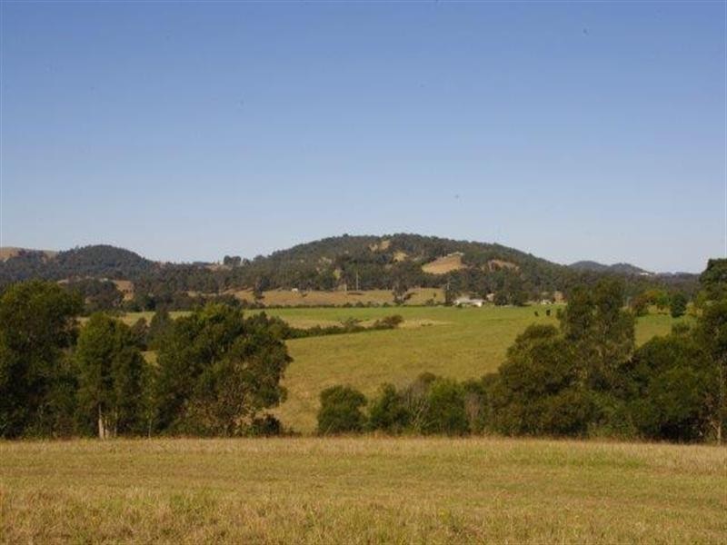 190 Karaak Flat Road, Wingham NSW 2429