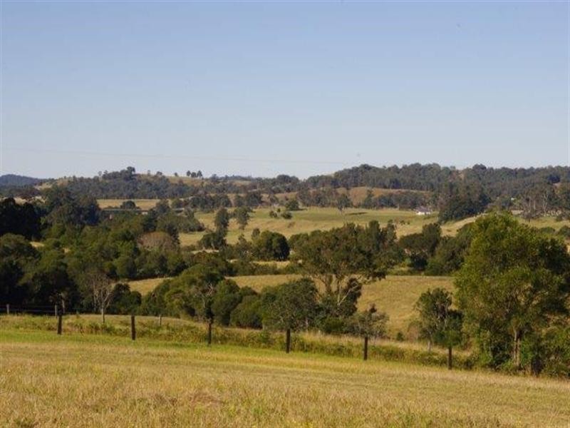 190 Karaak Flat Road, Wingham NSW 2429