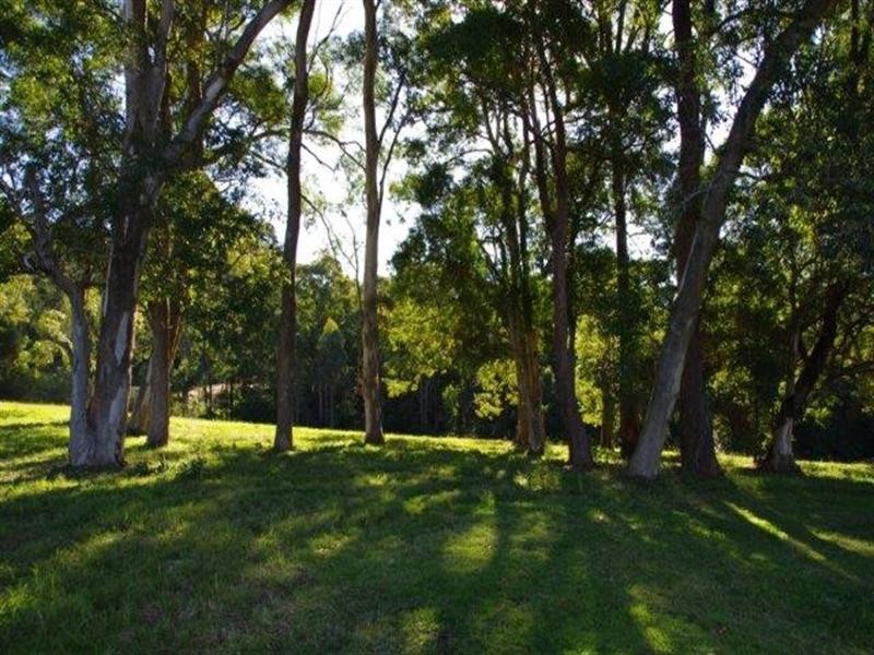 190 Karaak Flat Road, Wingham NSW 2429