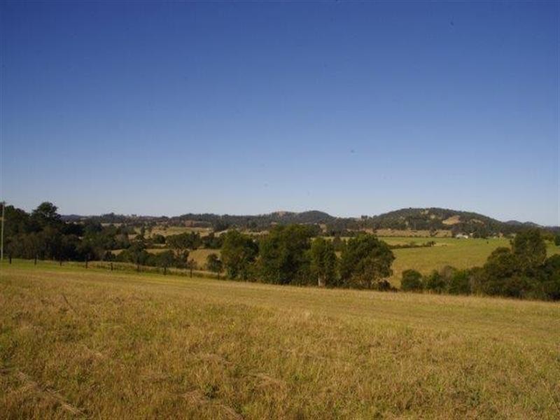 190 Karaak Flat Road, Wingham NSW 2429