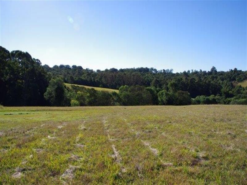 190 Karaak Flat Road, Wingham NSW 2429