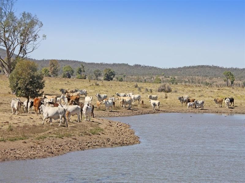 “Mt Kandoonan” Crowsdale-Camboon Road, Theodore QLD 4719