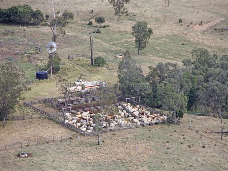 “Mt Kandoonan” Crowsdale-Camboon Road, Theodore QLD 4719