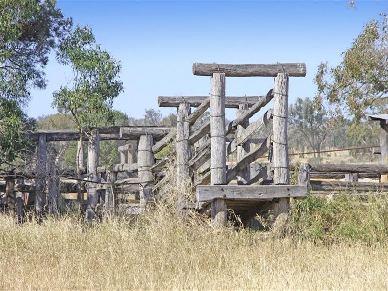 “Mt Kandoonan” Crowsdale-Camboon Road, Theodore QLD 4719