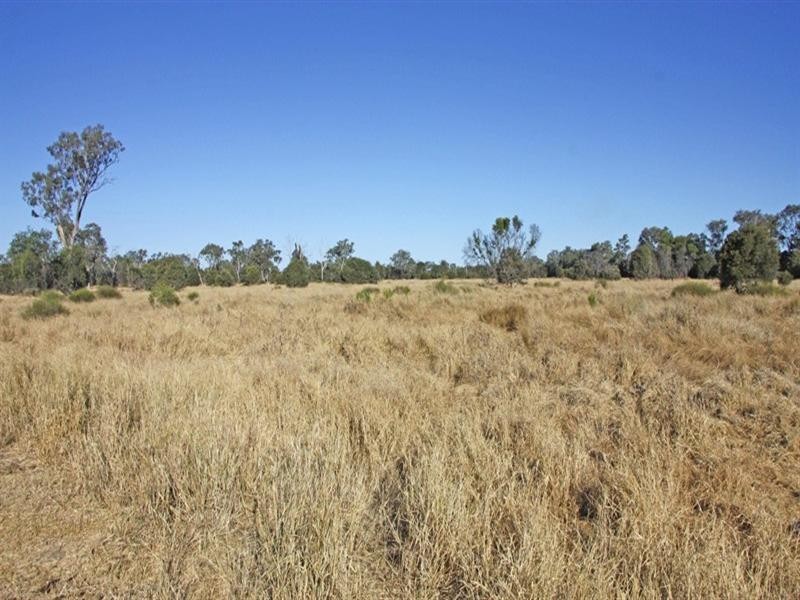 “Greenbank” Goolara-Heinkes Road, Theodore QLD 4719