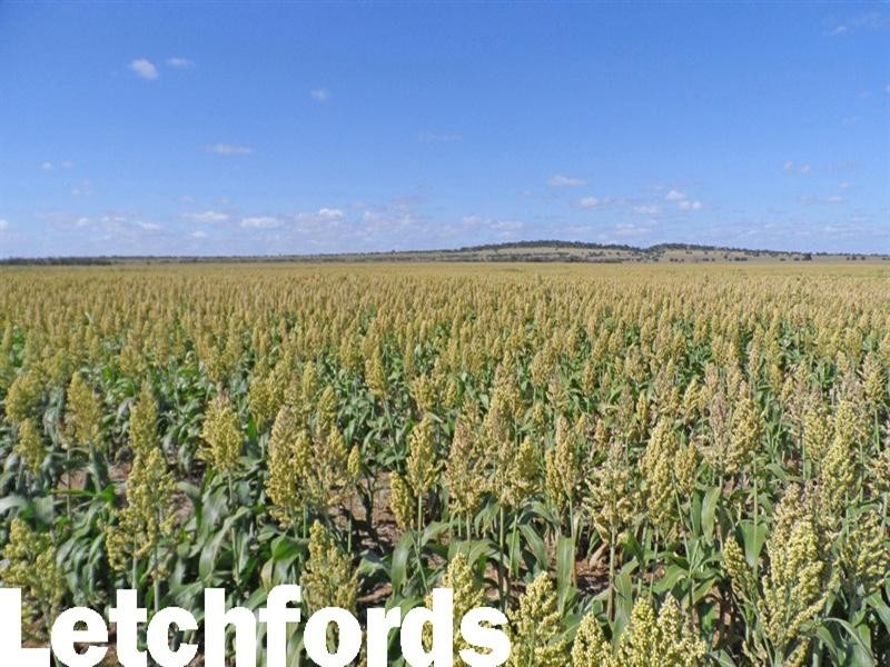 “Letchfords” Goolara-Heinkes Road, Theodore QLD 4719