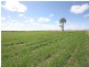 “Letchfords” Goolara-Heinkes Road, Theodore QLD 4719