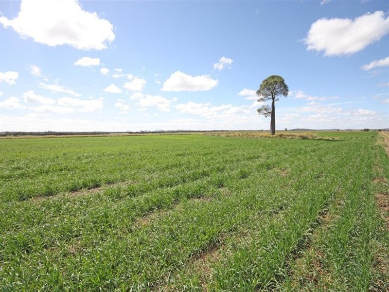 “Letchfords” Goolara-Heinkes Road, Theodore QLD 4719