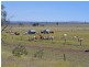 “Letchfords” Goolara-Heinkes Road, Theodore QLD 4719
