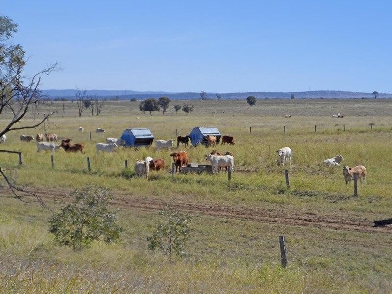 “Letchfords” Goolara-Heinkes Road, Theodore QLD 4719