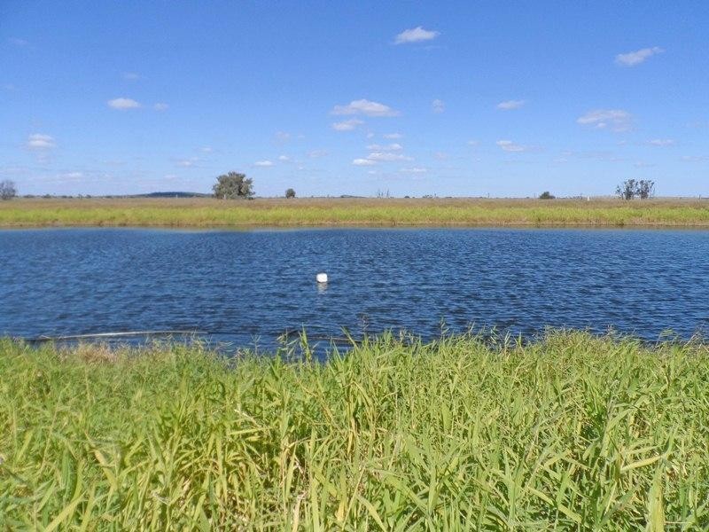 “Letchfords” Goolara-Heinkes Road, Theodore QLD 4719