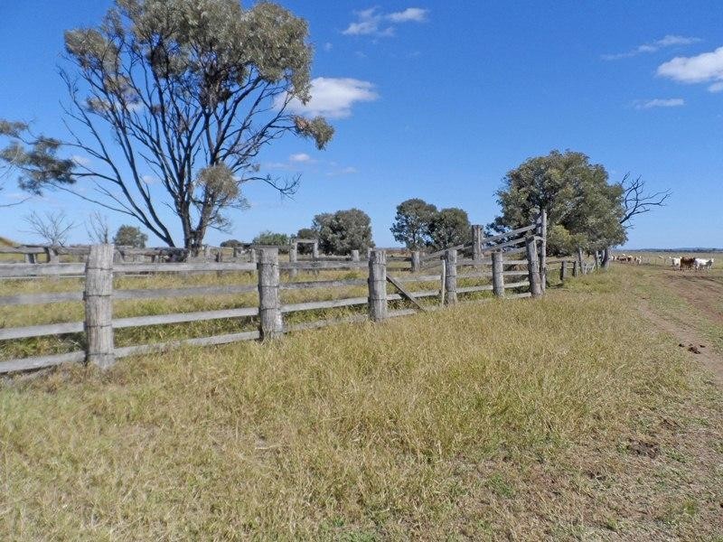 “Letchfords” Goolara-Heinkes Road, Theodore QLD 4719