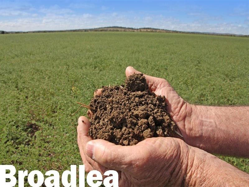 “Broadlea” Watsons Road, Theodore QLD 4719