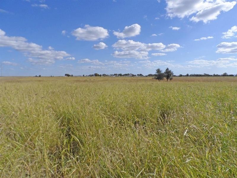 “Broadlea” Watsons Road, Theodore QLD 4719