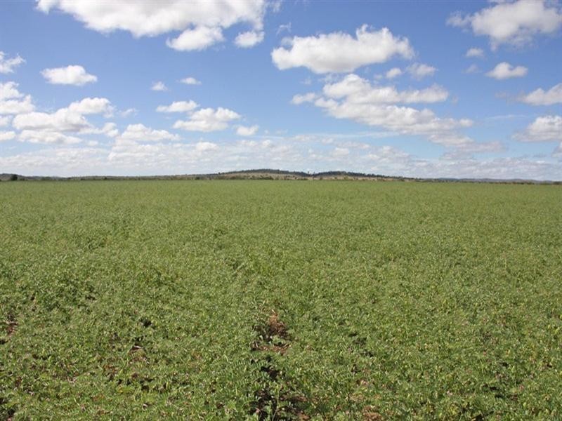 “Broadlea” Watsons Road, Theodore QLD 4719