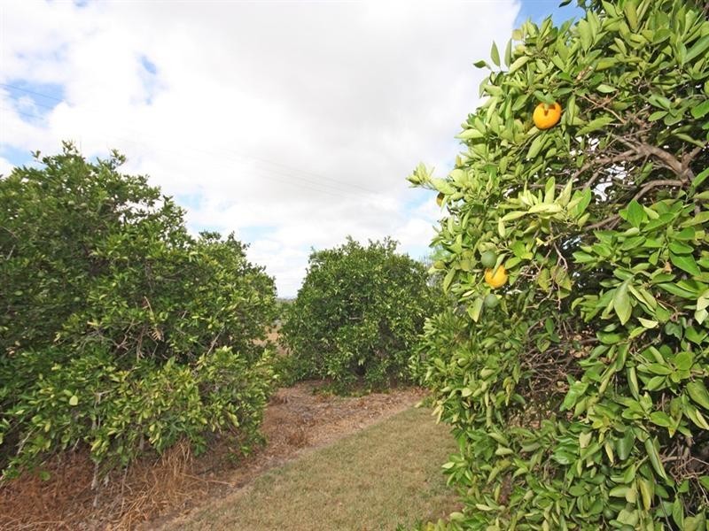 70 Paines Road, Biloela QLD 4715